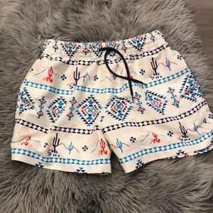 Men’s chubbies swim trunks